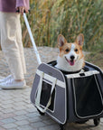 PETSFIT Pet Travel Carrier With Wheels - PETSFIT STORE