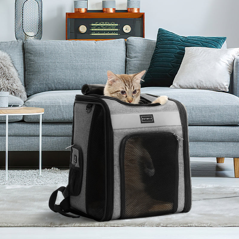 PETSFIT Cat Backpack Carrier with Soft Plush Mat Cross Ventilation Design Dog Backpack Easy Fit for Travel Camping Hiking-动物/宠物用品