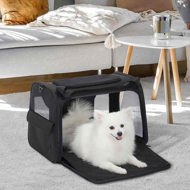  Petsfit Transportbox Katze Hund faltbar Transporttasche Hundetasche - Pet Supplies