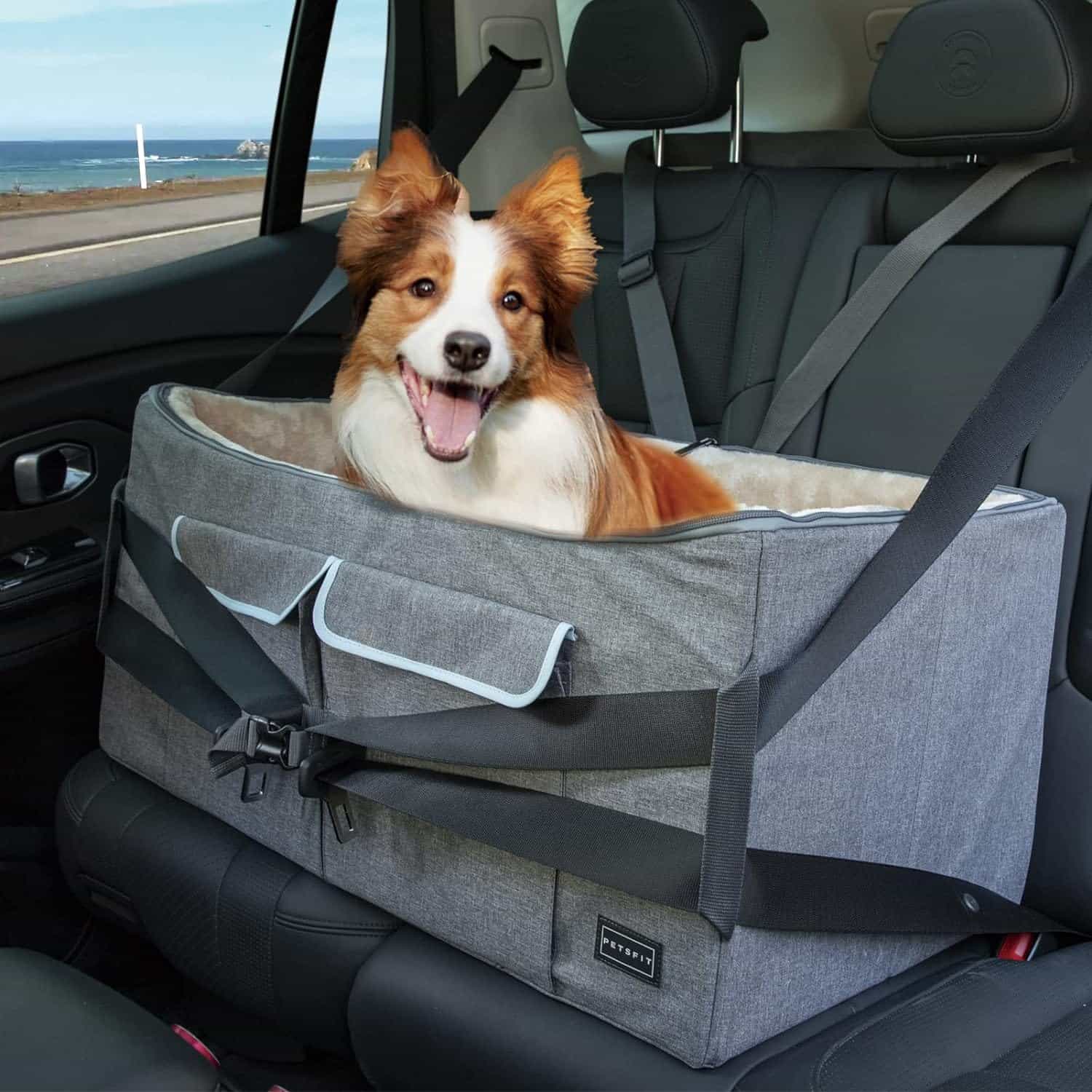 Siège d'auto pour chien PETSFIT siège d'appoint de voiture de voyage pour animaux de compagnie avec ceinture de sécurité 