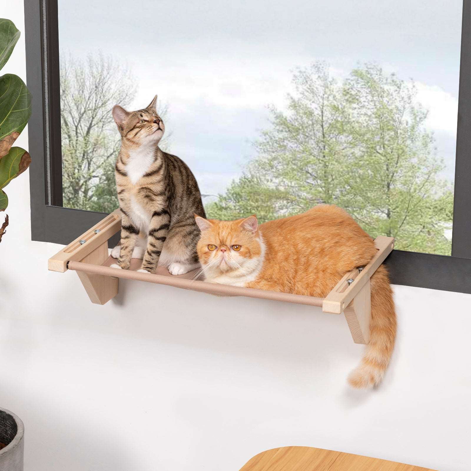 Petsfit-Cat-Window-Perch-Fits-for-2-Cats-10