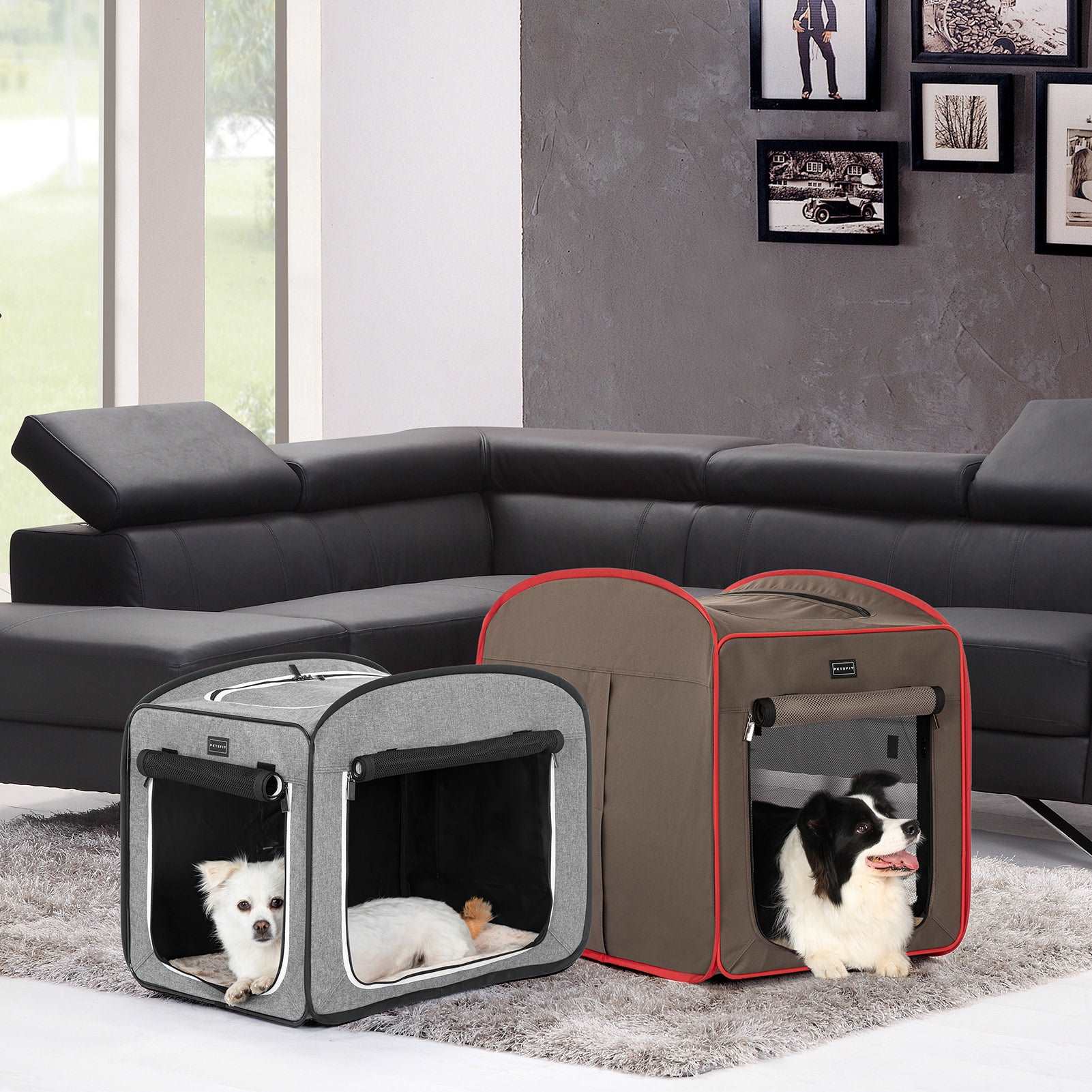 Petsfit-Collapsible-Dog-Crate-for-Travel-09