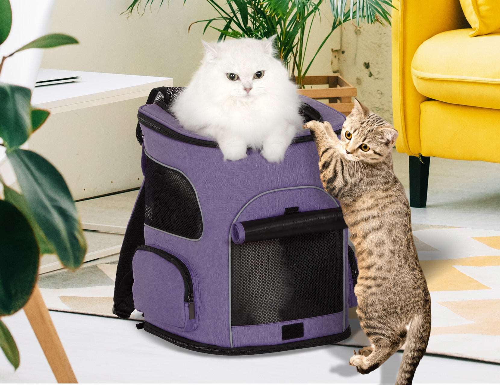 PETSFIT-Cat-Backpack-Carrier-with-Upgraded-Waist-Protection-Fully-Ventilated-Collapsible-01