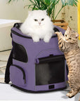 PETSFIT-Cat-Backpack-Carrier-with-Upgraded-Waist-Protection-Fully-Ventilated-Collapsible-01