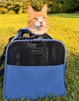 Comfortable Pet Carrier Airline