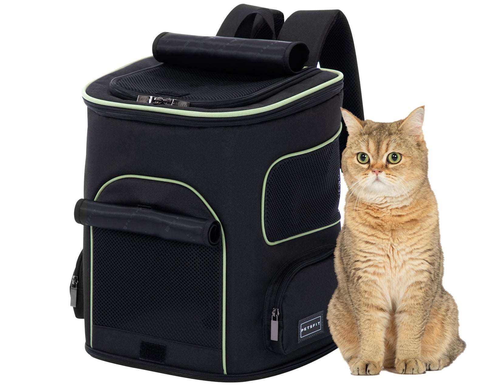 PETSFIT-Cat-Backpack-Carrier-with-Upgraded-Waist-Protection-Fully-Ventilated-Collapsible-12