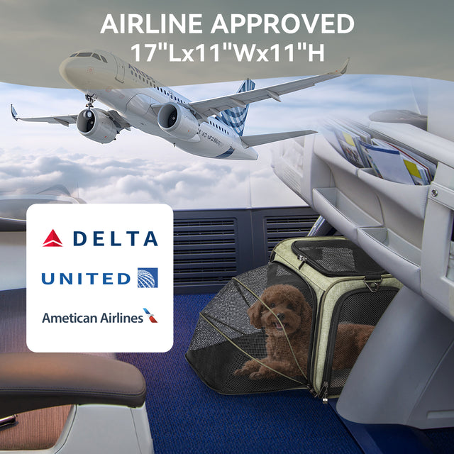 Green expandable pet carrier with airline approval badge for Delta, United, and American Airlines, M size 17x11x11 inches, with brown teddy dog inside.