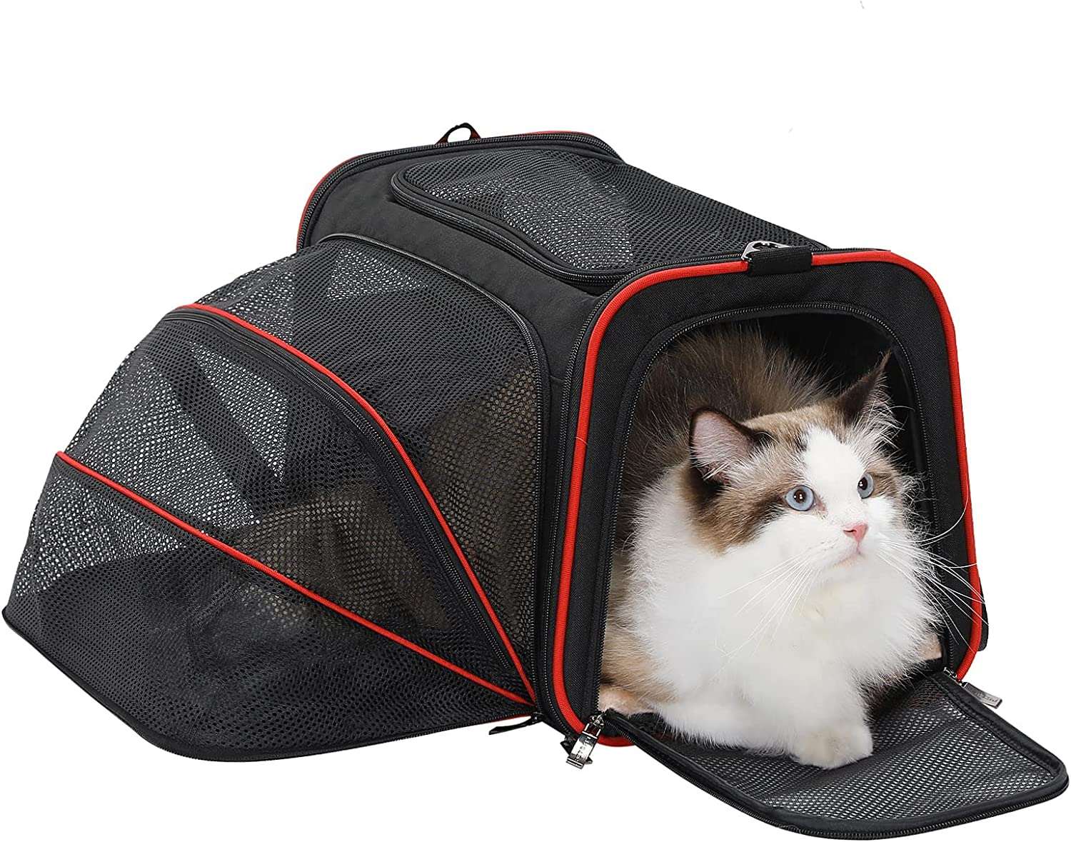 Petsfit-Expandable-Cat-Carrier-Dog-Carrier-08