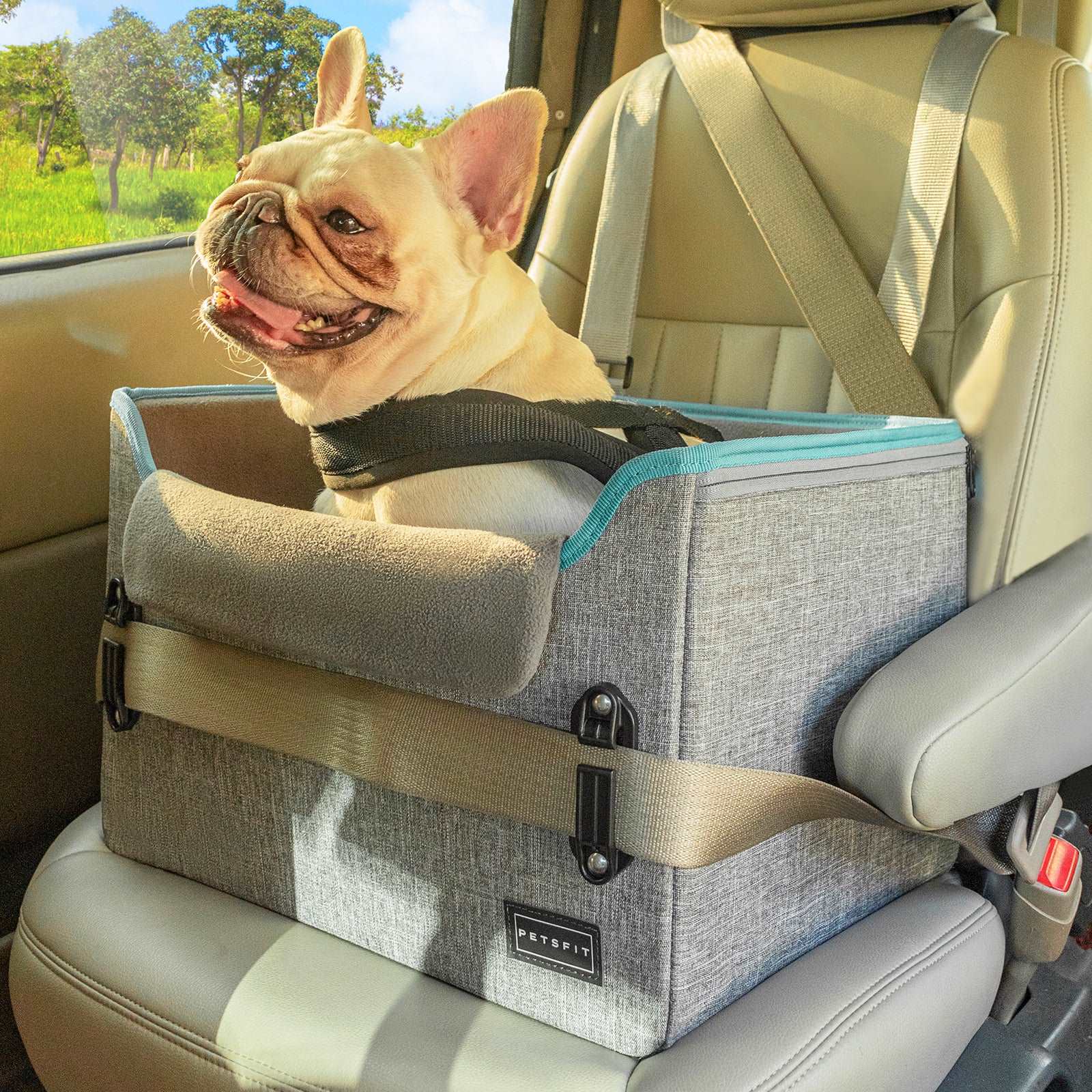 PETSFIT-Dog-Car-Seats-for-Small-Dogs-Puppy-Stable-Pet-Car-Seat-01