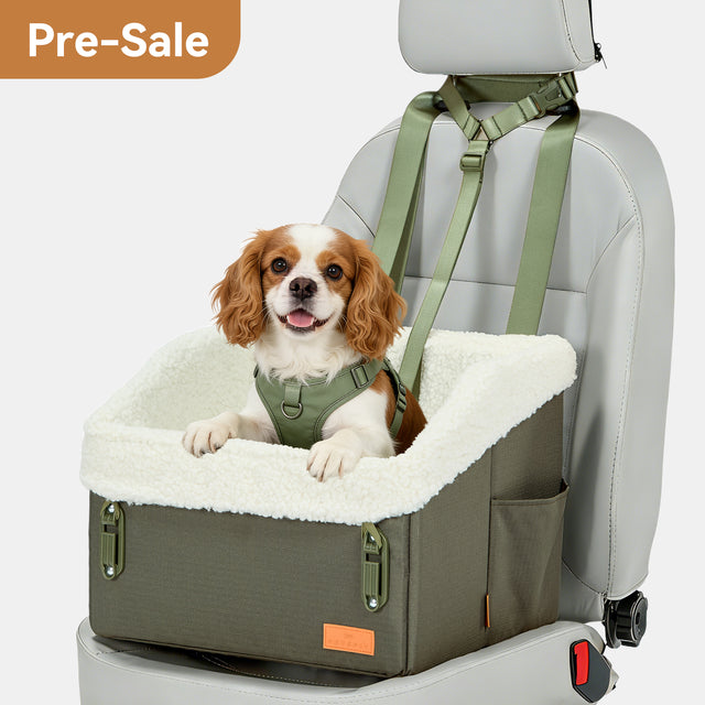 PETSFIT WILDPATH dog car booster seat army green with Cavalier King Charles Spaniel Pre-Sale