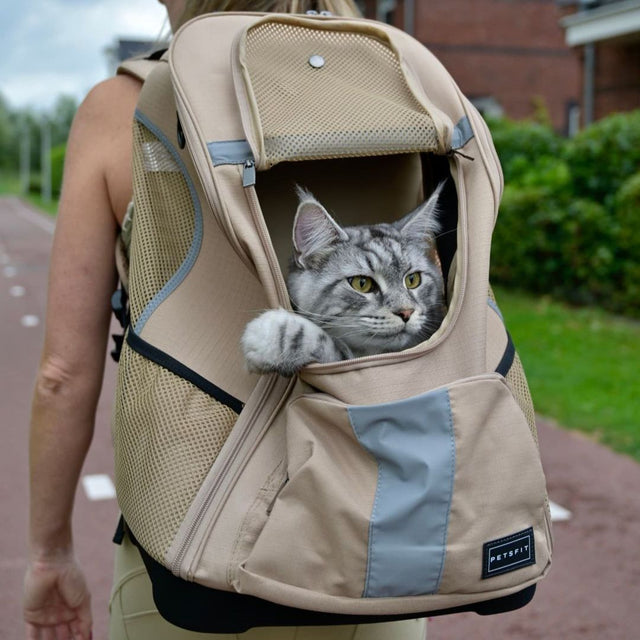 Petsfit Pet Carrier Hunderucksack mit verbessertem Design zur Gewichtsreduzierung