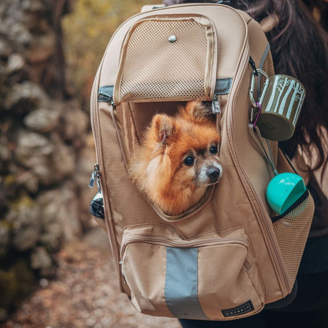 Petsfit Pet Carrier Hunderucksack mit verbessertem Design zur Gewichtsreduzierung