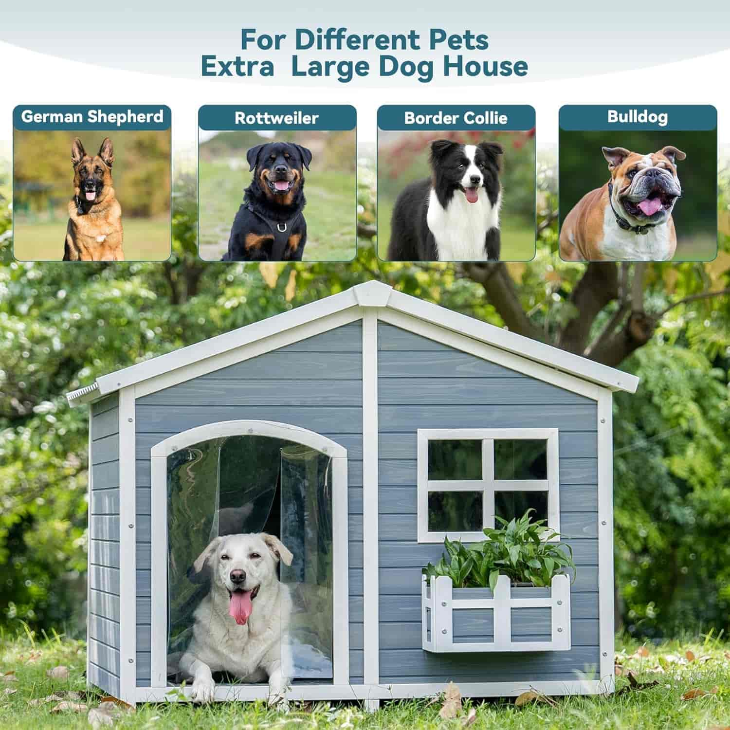 PETSFIT-Extra-Large-Dog-House-for-2-Medium-Dogs