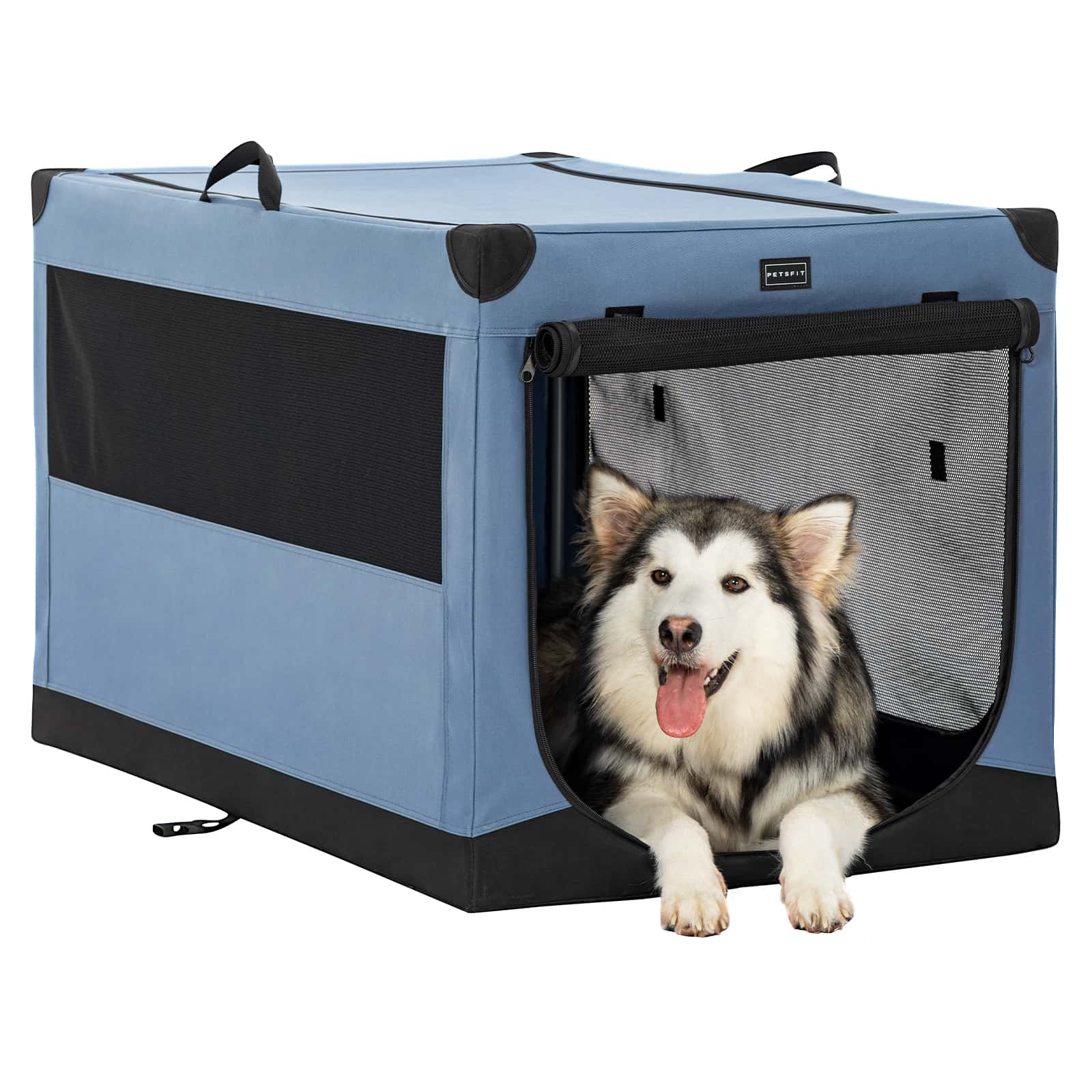 Beautiful view of Portable Soft Dog Crate For Dog Walking Apps