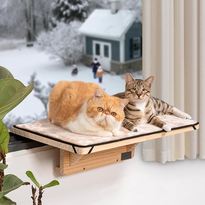 Best Cat Window Perches Fits for 2 Cats Outside Window Hammock