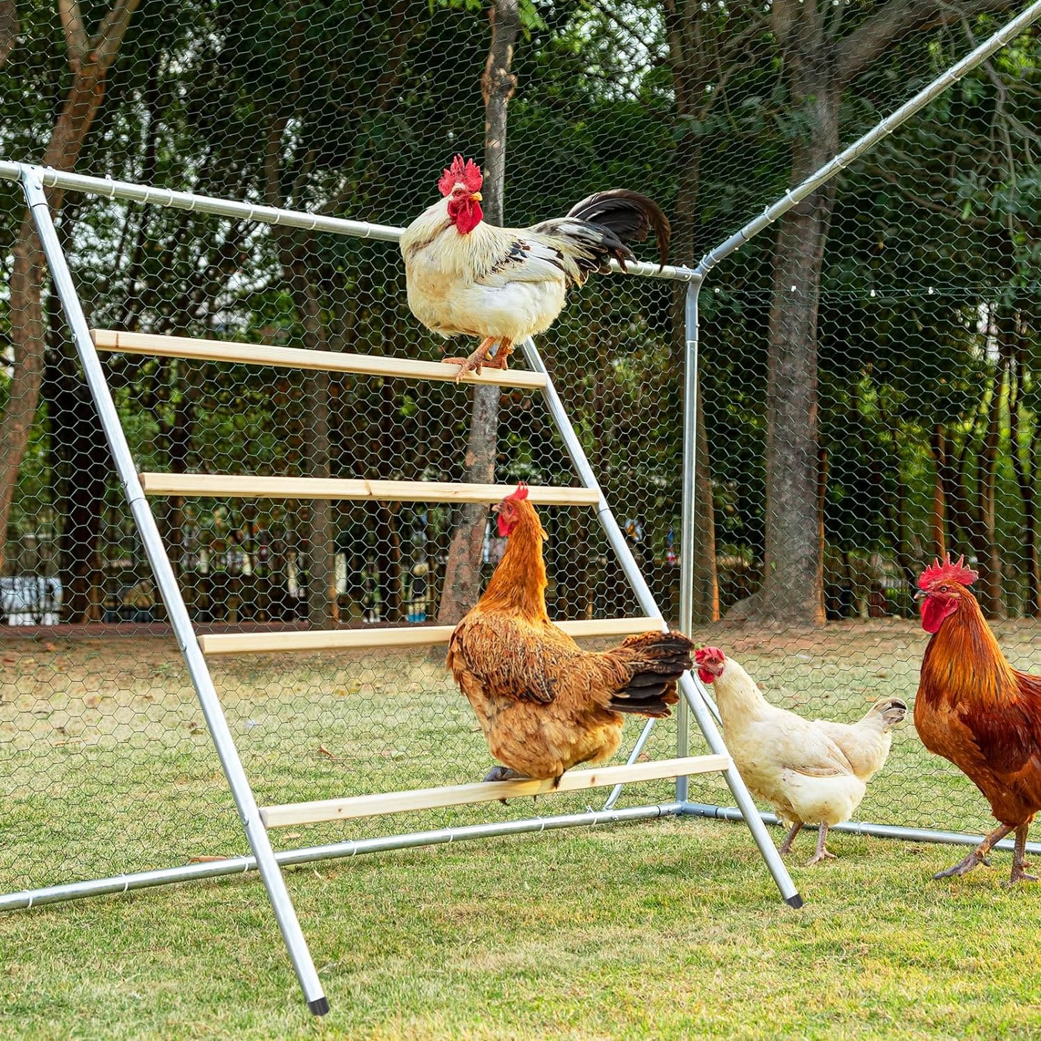 PETSFIT Chicken Roosting Perch Perfect for Backyard Poultry Chicken Perch for Coop Chicken Toys