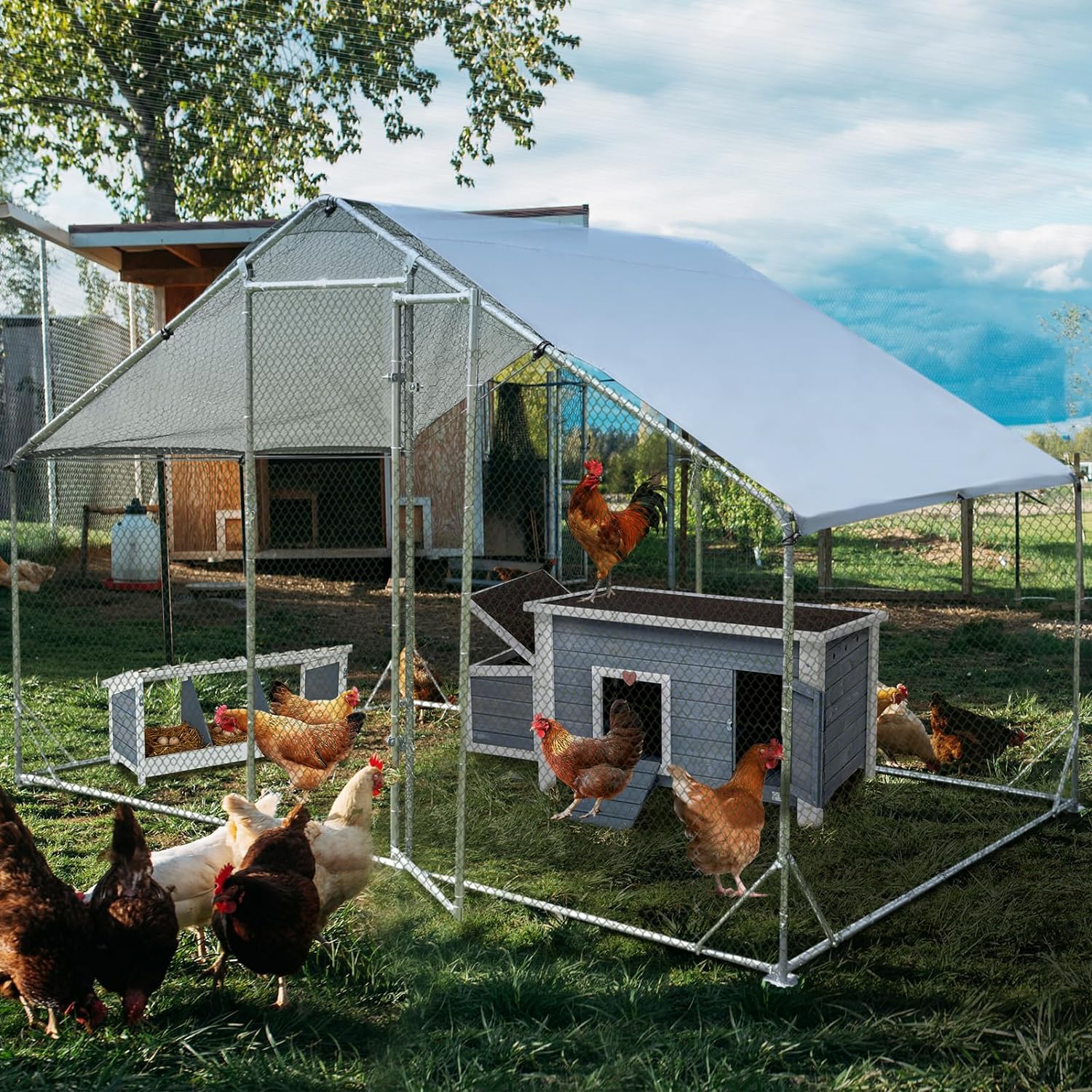 PETSFIT Large Metal Chicken Coop Walk-In with Anti-Rust Durable Steel &amp; 420D Anti-Ultraviolet Waterproof Cover Hen House for Outdoor Farm Use-动物/宠物用品