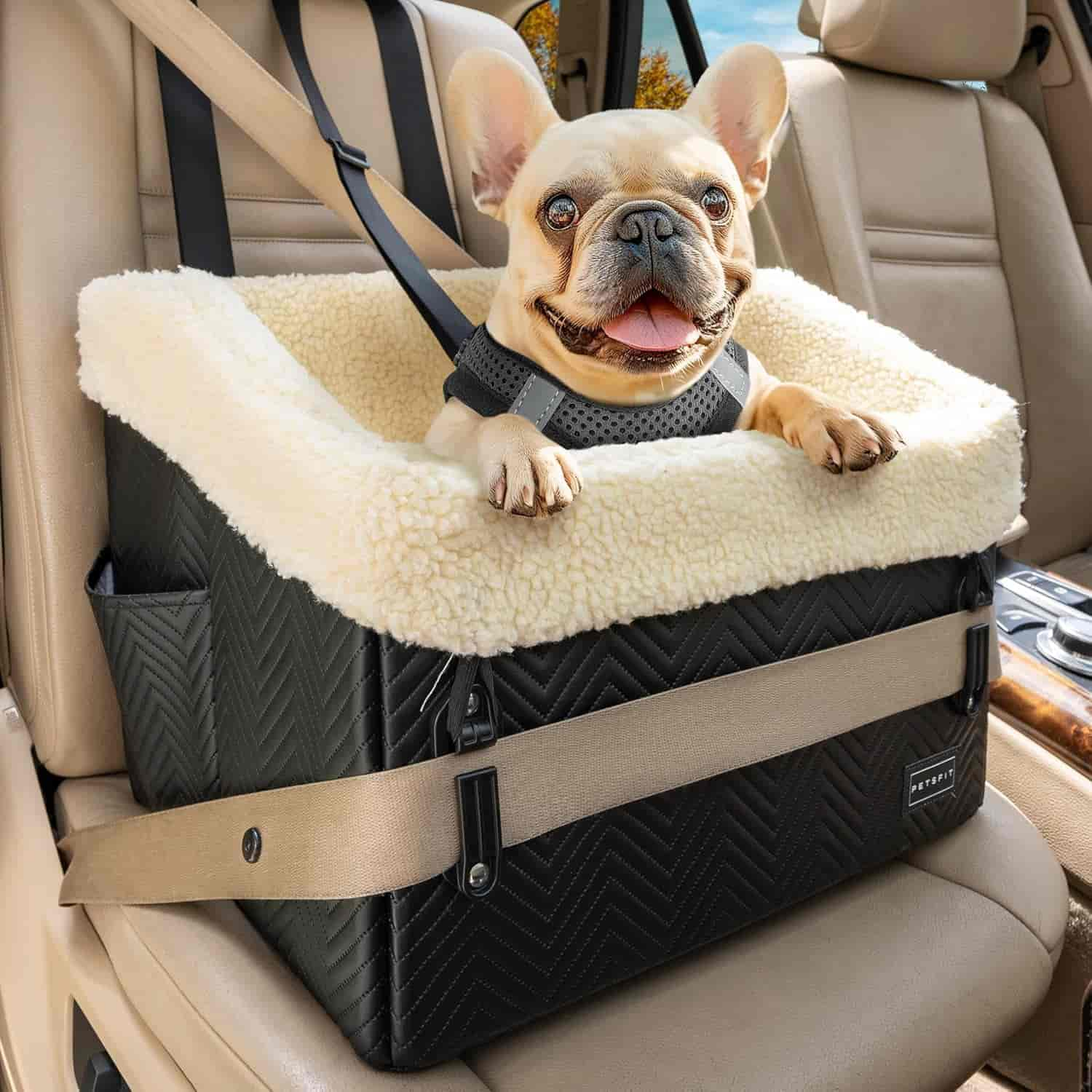 PETSFIT Small Dog Car Seat