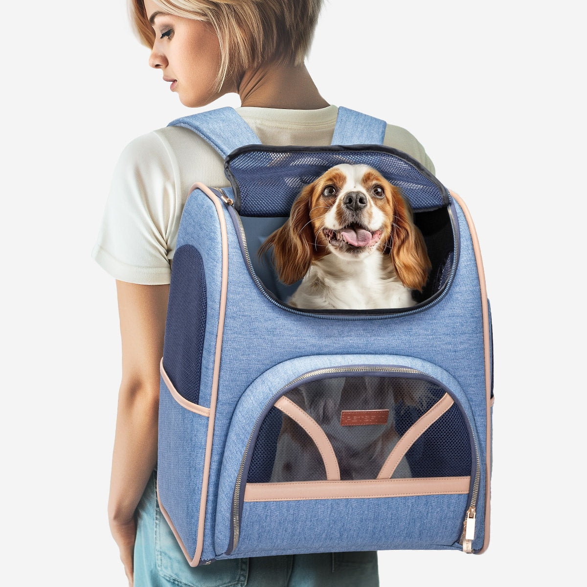 PETSFIT Denim Backpack for Pets