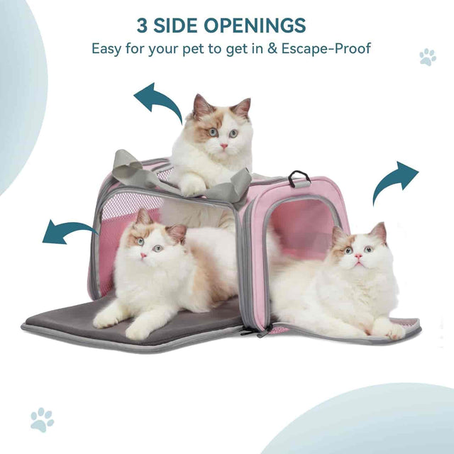 PETSFIT Pet Carrier Bag Airline Approved Cat Travel Carrier for Small and Medium Cats Under 12 Lbs -  Pet Supplies