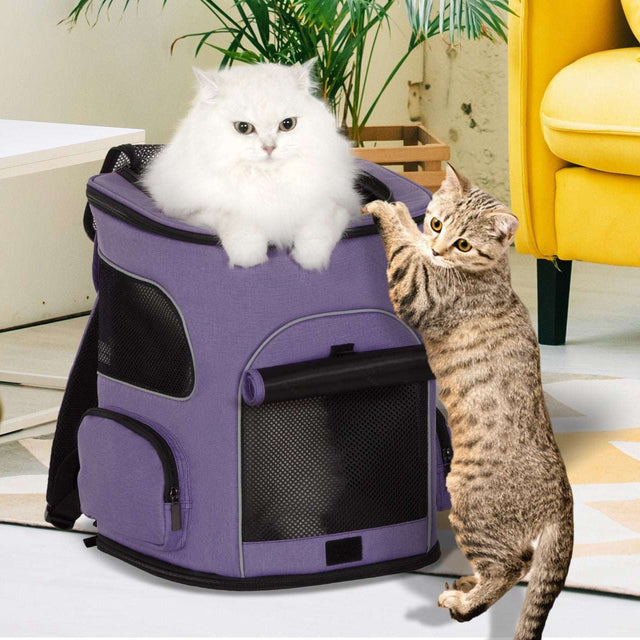 PETSFIT-Cat-Backpack-Carrier-with-Upgraded-Waist-Protection-Fully-Ventilated-Collapsible-01