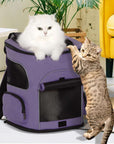 PETSFIT-Cat-Backpack-Carrier-with-Upgraded-Waist-Protection-Fully-Ventilated-Collapsible-01