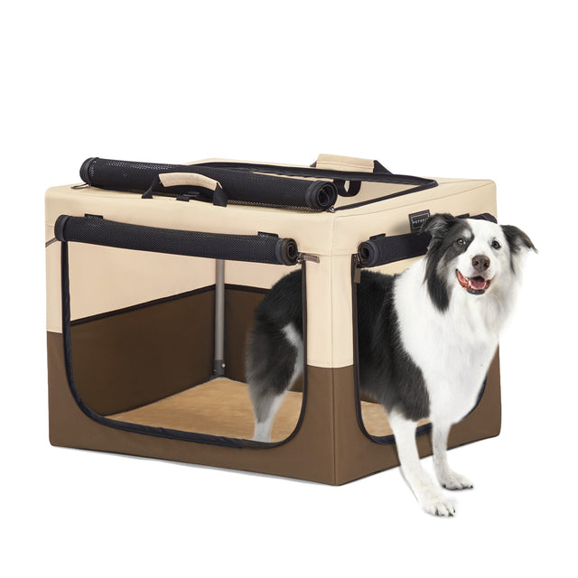 Black and white dog stands at the entrance of a beige indoor travel dog crate with open mesh doors and cushioned base pad.