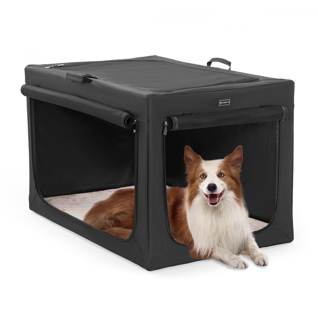 Red and white dog relaxes in a black soft dog crate with wide zip openings, mesh roof, and rolled window covers on both sides.