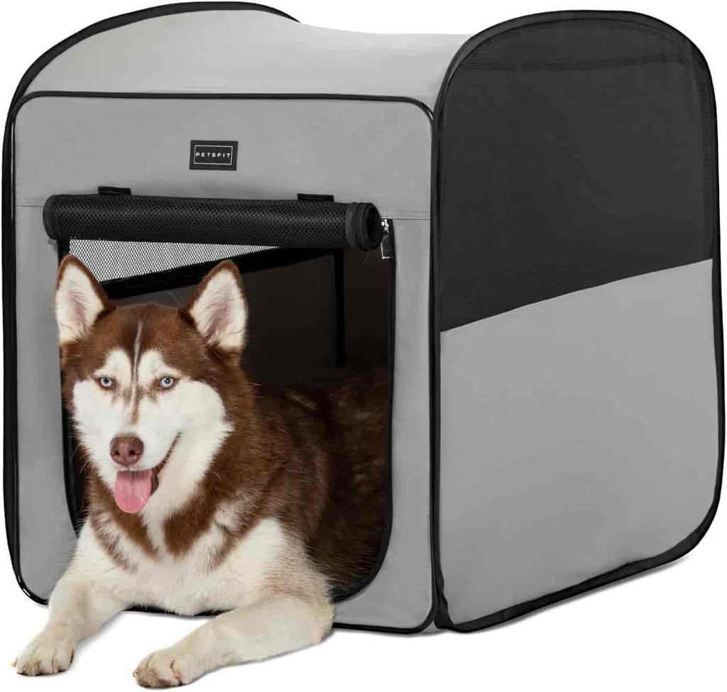 PETSFIT Portable Dog Crate Pop Up Collapsible Crate for Large Dogs Soft Dog Kennel Carrier for Traveling -  Pet Supplies