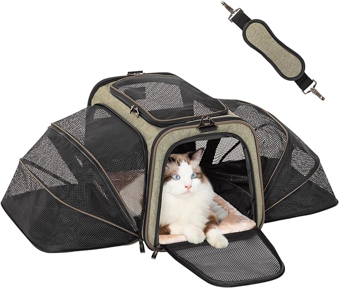 Petsfit Expandable Large Cat Carrier Small Dog Carriers Airline Approved Soft-Sided Portable Washable Pet Travel Carrier with 2 Extension for Kittens, Puppies, Rabbits-Pet Supplies