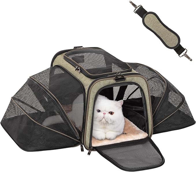 Petsfit Expandable Large Cat Carrier Small Dog Carriers Airline Approved Soft-Sided Portable Washable Pet Travel Carrier with 2 Extension for Kittens, Puppies, Rabbits-Pet Supplies