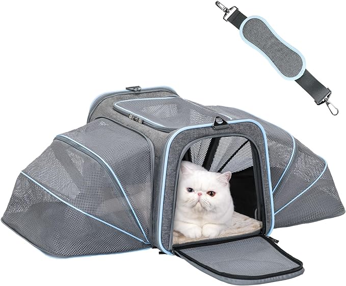 Petsfit Expandable Large Cat Carrier Small Dog Carriers Airline Approved Soft-Sided Portable Washable Pet Travel Carrier with 2 Extension for Kittens, Puppies, Rabbits-Pet Supplies