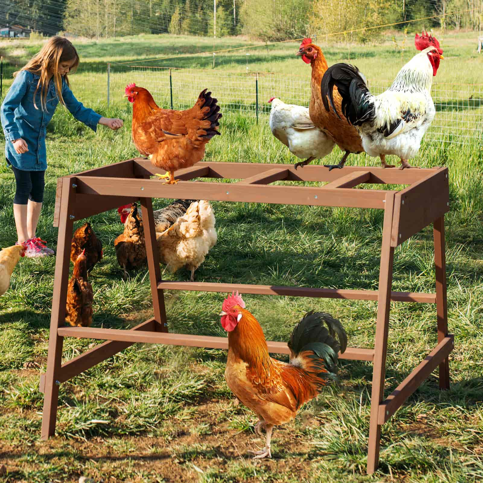 PETSFIT Chicken Coop Accessory with Multiple Chicken Perches Chicken Toys for Pet's Health & Happy, Chicken Roosting Bars