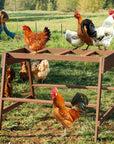 PETSFIT Chicken Coop Accessory with Multiple Chicken Perches -   PETSFIT STORE