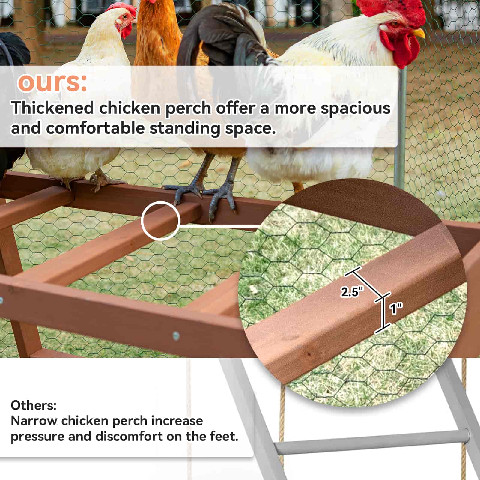 Accessoire de poulailler PETSFIT avec plusieurs perchoirs de poulet, jouets pour la santé et le bonheur des animaux, barres de perchoir pour poulet