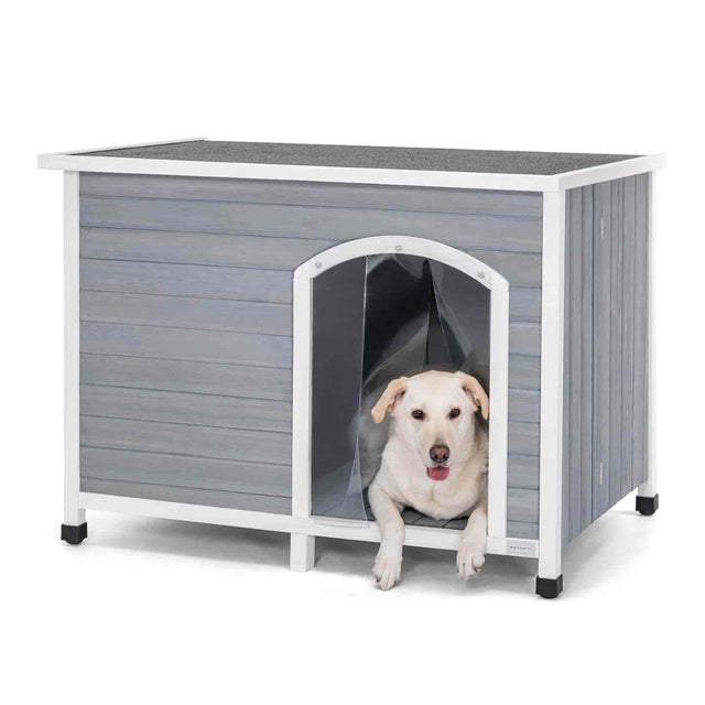 big-outdoor-dog-house