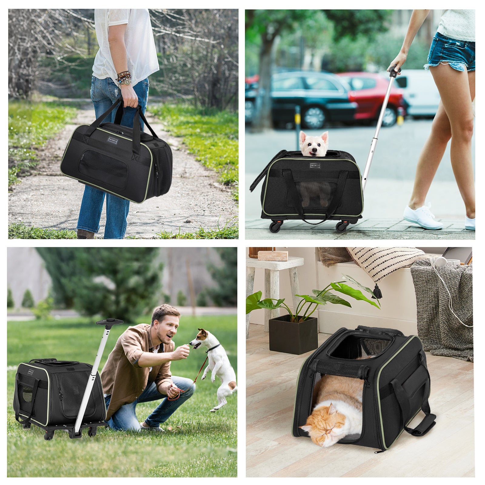 PETSFIT Pet Travel Carrier With Wheels