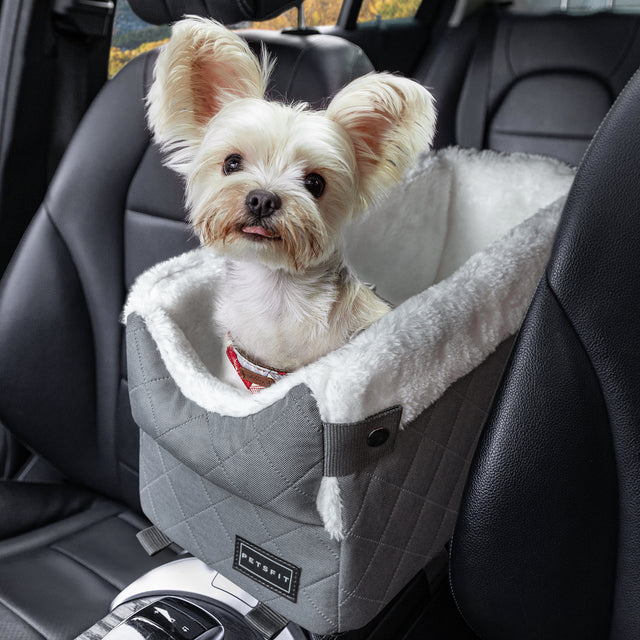 PETSFIT console dog car seat lifestyle detail view