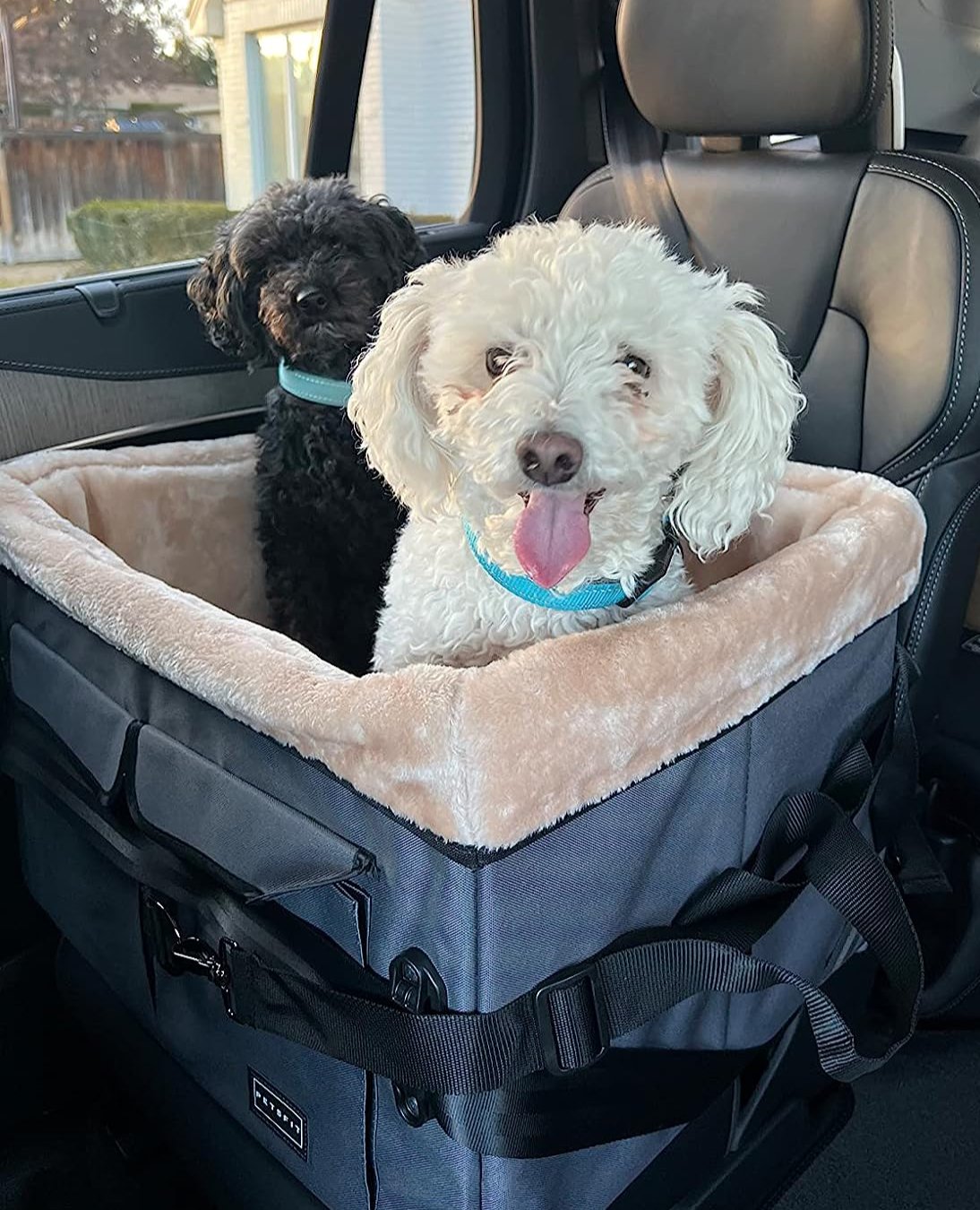 dog-car-seat-for-travel