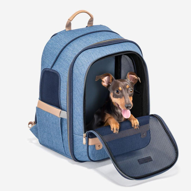  dog-carrier-backpack