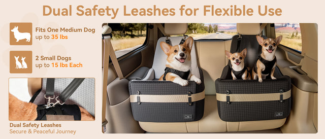 PETSFIT memory foam dog car booster seat with dual safety leashes, two dogs seated securely in rear backseat