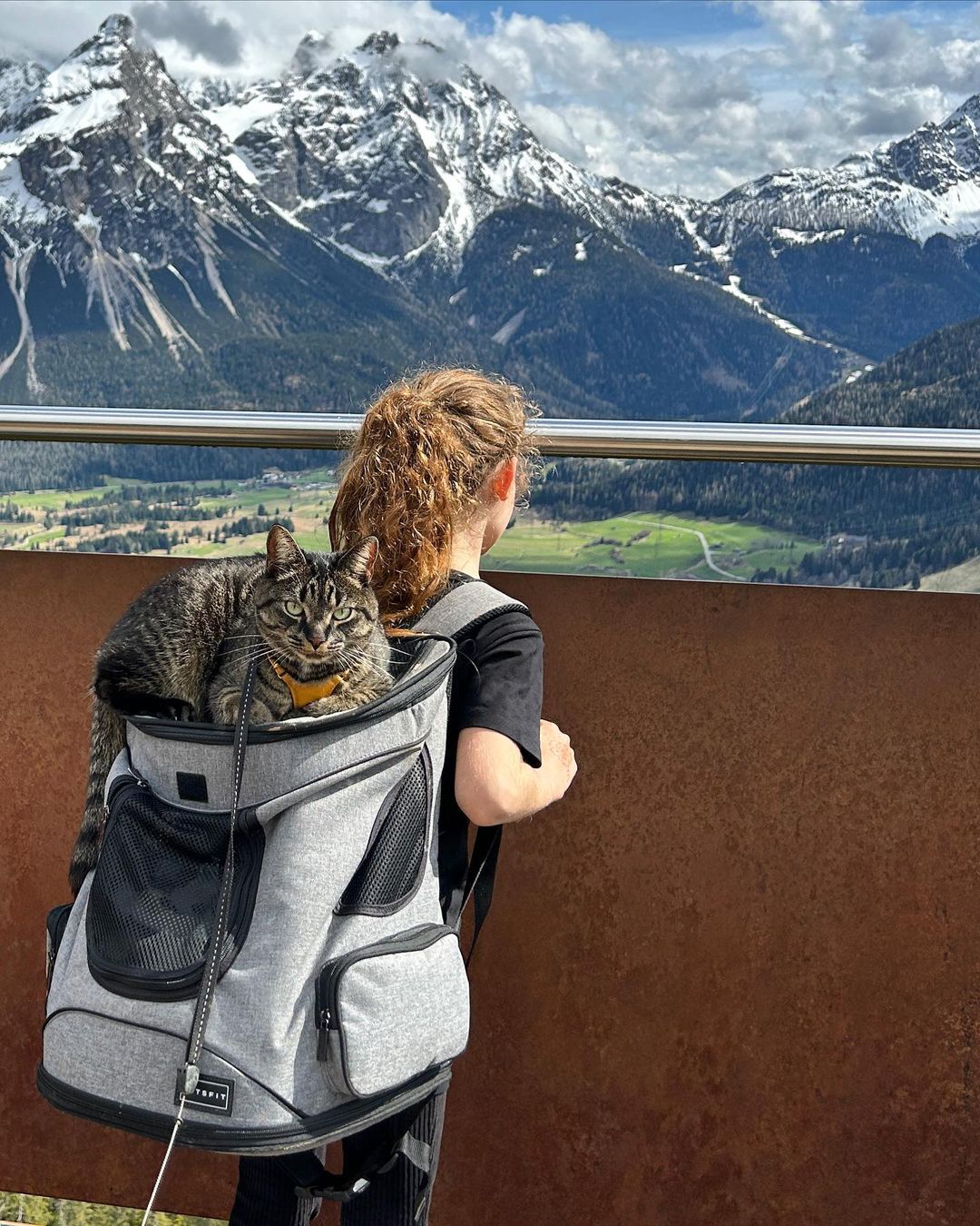 pet-backpack-or-travel