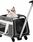 PETSFIT Pet Travel Carrier With Wheels - PETSFIT STORE