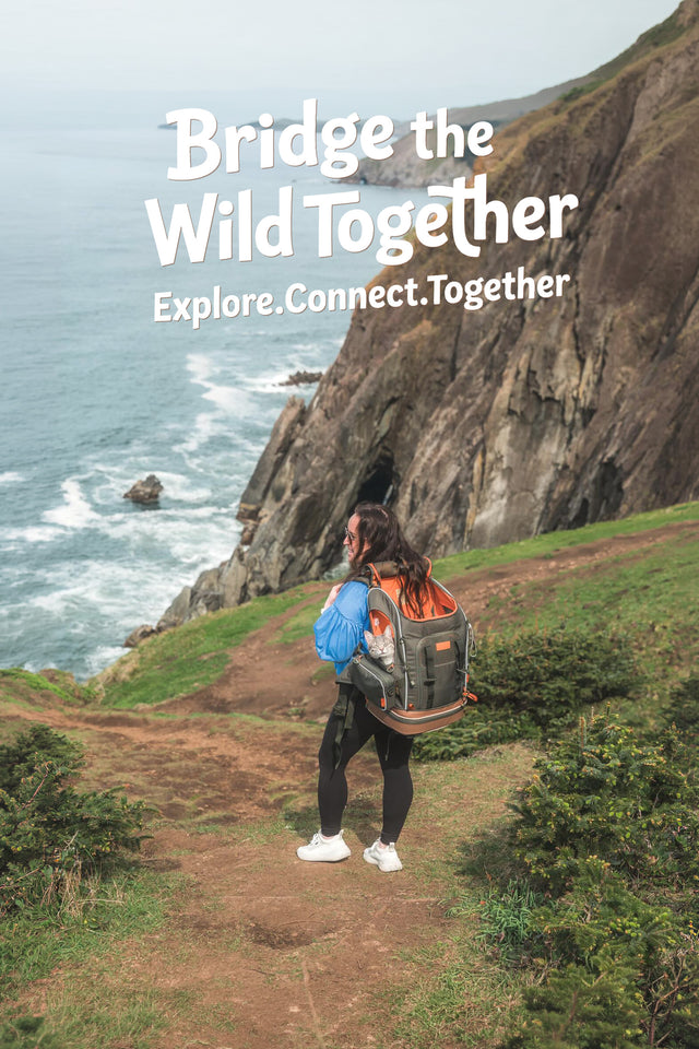 Vertical banner of a tabby cat riding in an orange-lined cat backpack as its owner hikes a green sea-cliff path