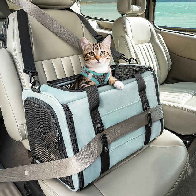 Tabby cat rides calmly in a light blue cat backpack secured with seat belt straps on a car seat for safer road trips.