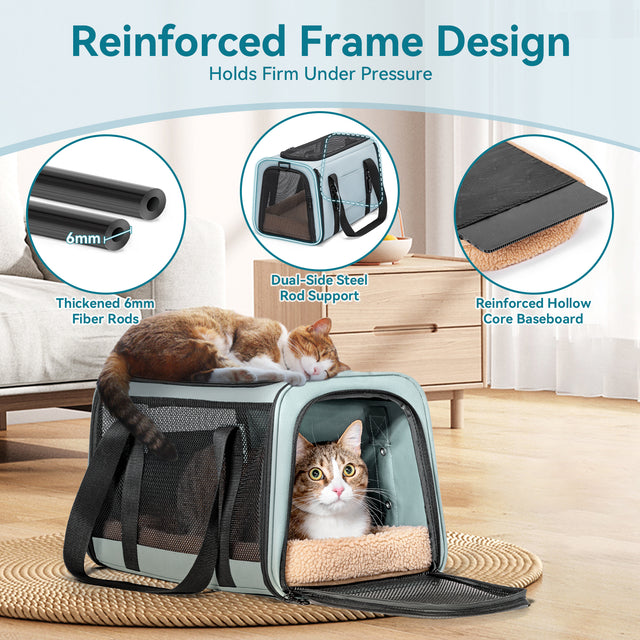 Two cats relax on and inside a carrier in a living room, showing reinforced frame, support rods, and sturdy baseboard.