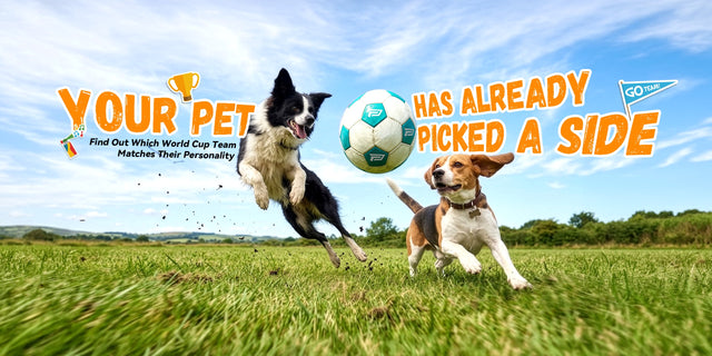 Your Pet Has Already Picked A Side — Border Collie and Beagle chasing football on green field, World Cup pet personality blog desktop banner
