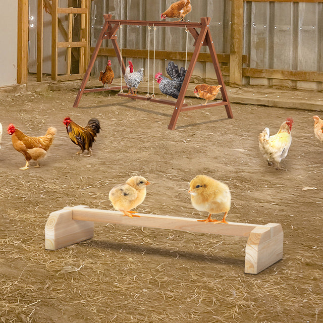 PETSFIT Chick Roosting Bar Prevent Rotation Design, Solid Wooden Thicken Rooster Perch for Coop