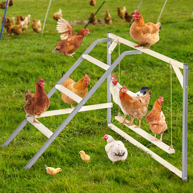 PETSFIT wooden chicken perch with swing for backyard coops