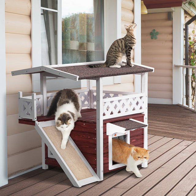 PETSFIT 2-story red brown outdoor cat house on wooden porch with three cats playing — tabby cat on roof, long-haired cat on sisal ramp, orange Exotic Shorthair entering flap door